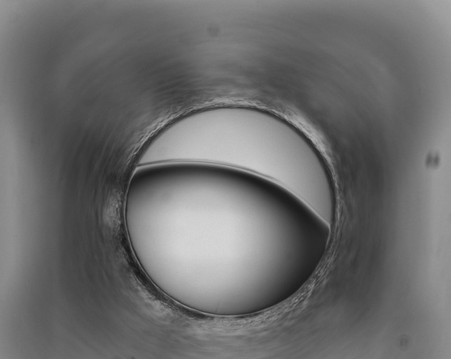 X0000091560009200708171110