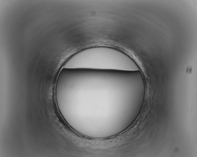 X0000091560010200708171110