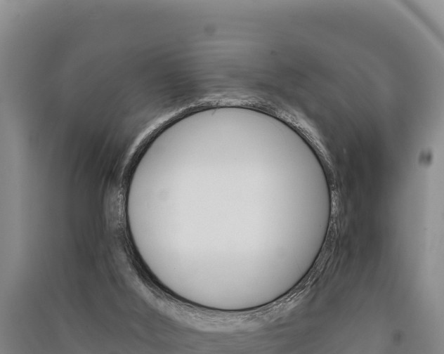 X0000091560012200708171110