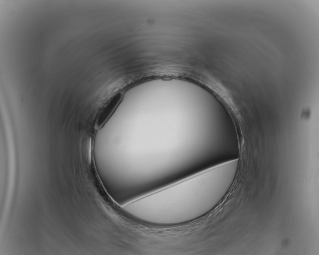 X0000091560013200708171110