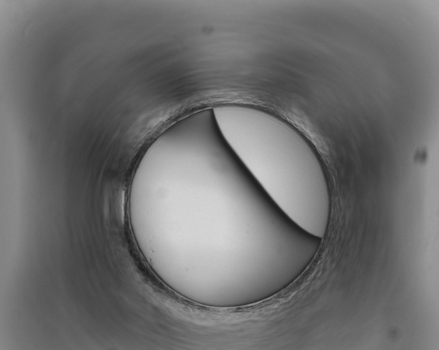 X0000091560014200708171110