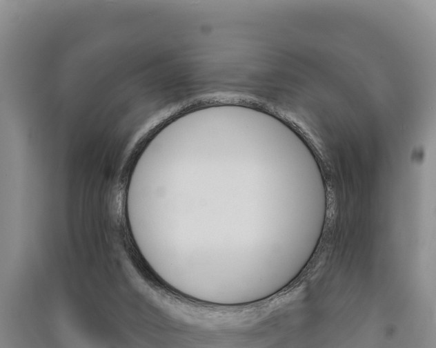 X0000091560016200708171110