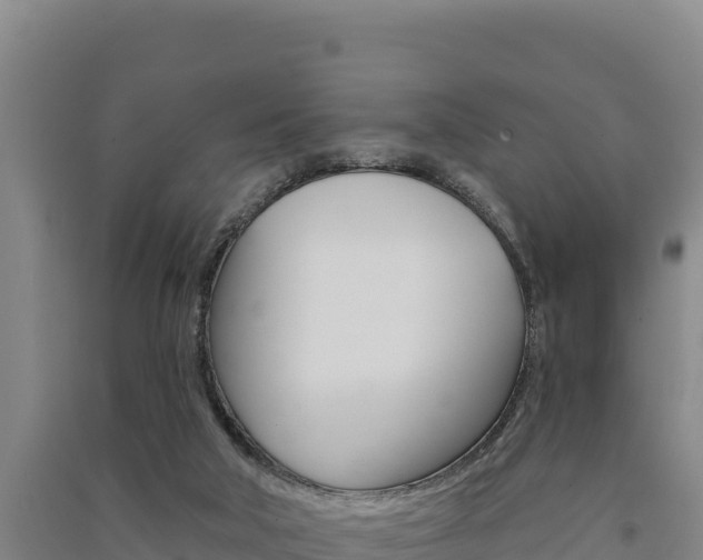 X0000091560018200708171110