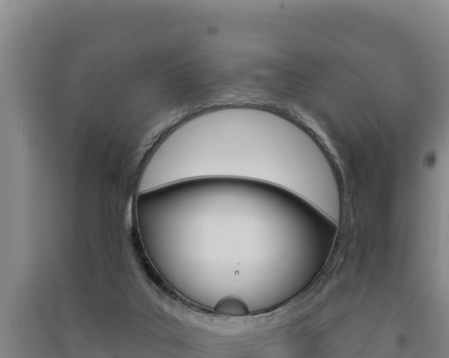 X0000091560019200708171110