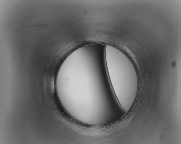 X0000091560020200708171110