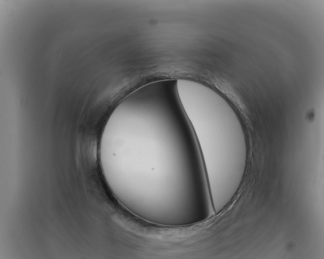 X0000091560021200708171110