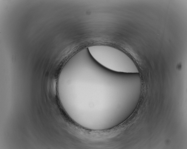 X0000091560022200708171110