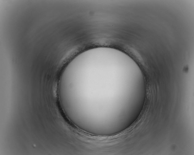 X0000091560023200708171110