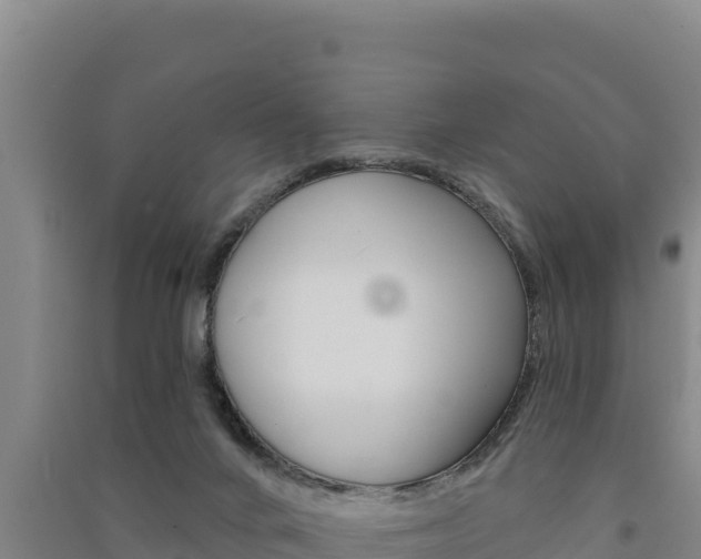 X0000091560024200708171110