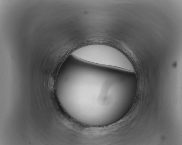 X0000091560025200708171110