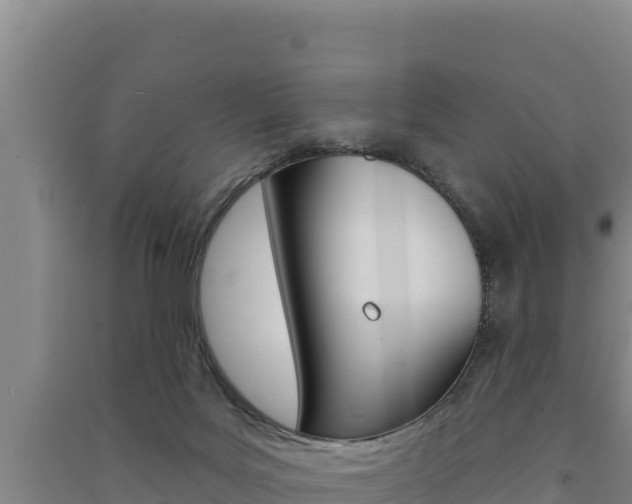 X0000091560027200708171110