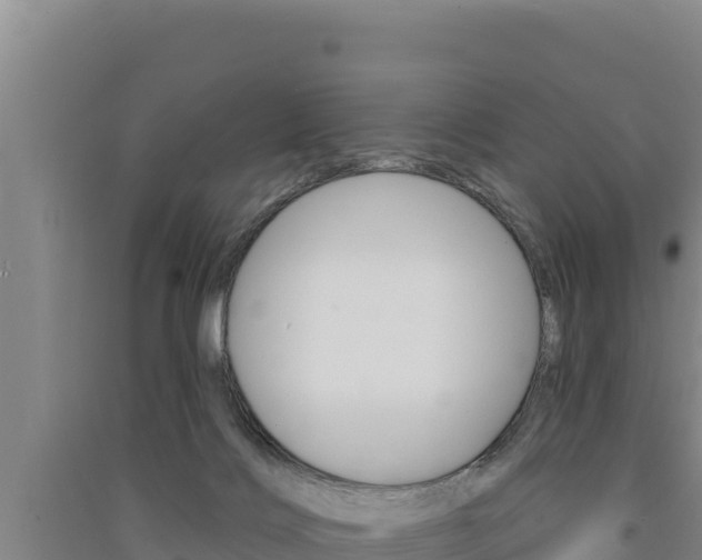 X0000091560028200708171110