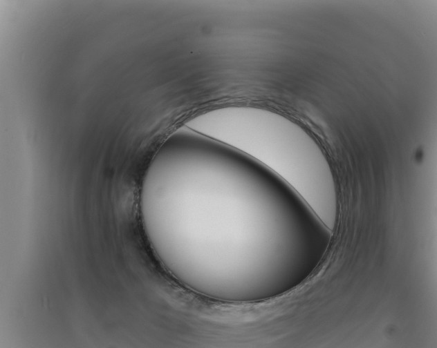 X0000091560029200708171110