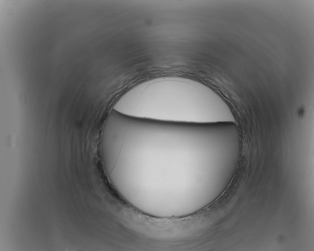 X0000091560030200708171110