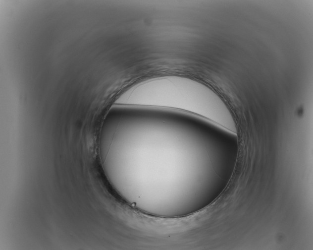 X0000091560031200708171110