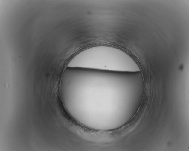 X0000091560032200708171110