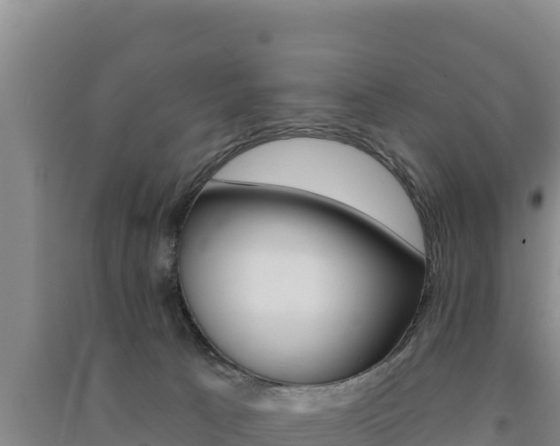 X0000091560033200708171110