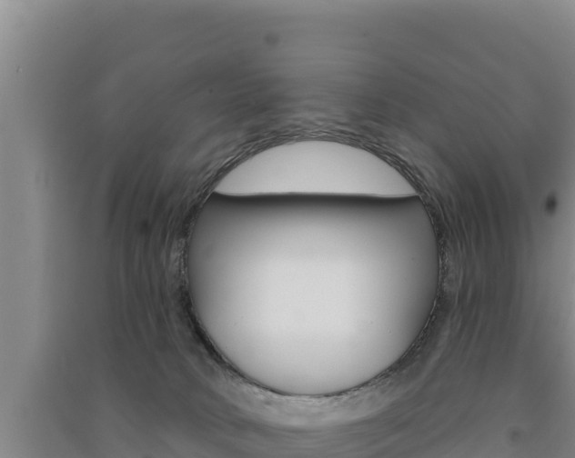 X0000091560034200708171110