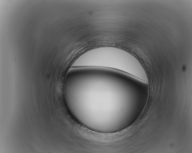 X0000091560035200708171110