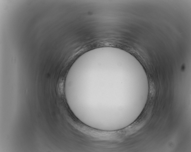 X0000091560036200708171110