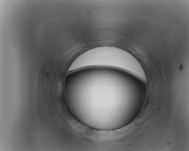 X0000091560037200708171110