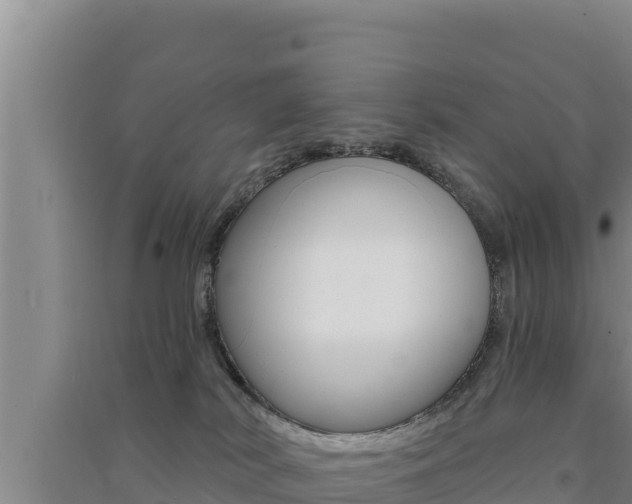 X0000091560038200708171110