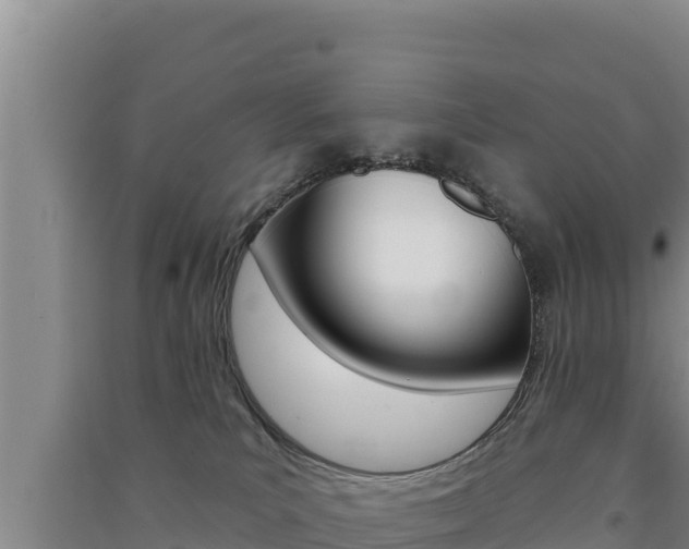 X0000091560039200708171110