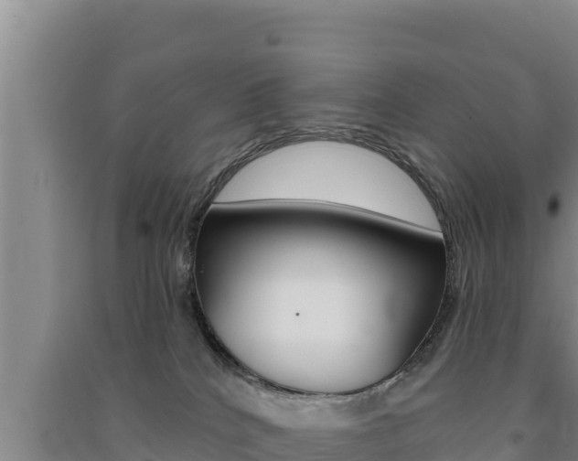 X0000091560040200708171110