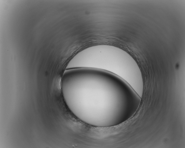 X0000091560041200708171110