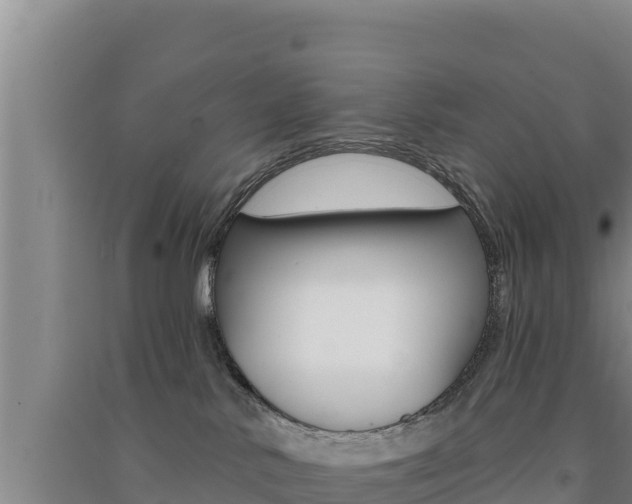 X0000091560042200708171110