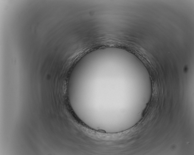 X0000091560043200708171110