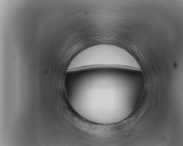 X0000091560044200708171110