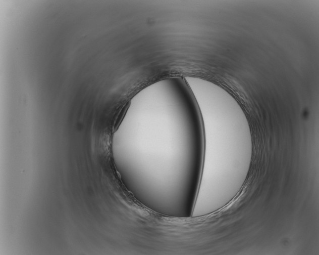 X0000091560045200708171110