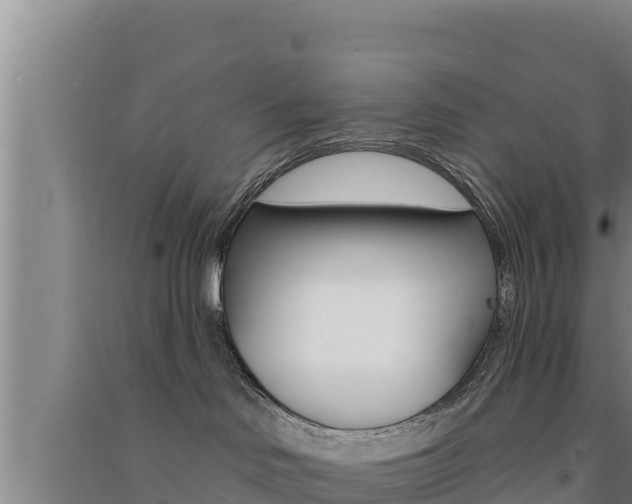 X0000091560046200708171110