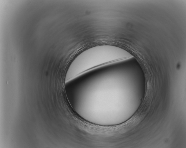 X0000091560048200708171110