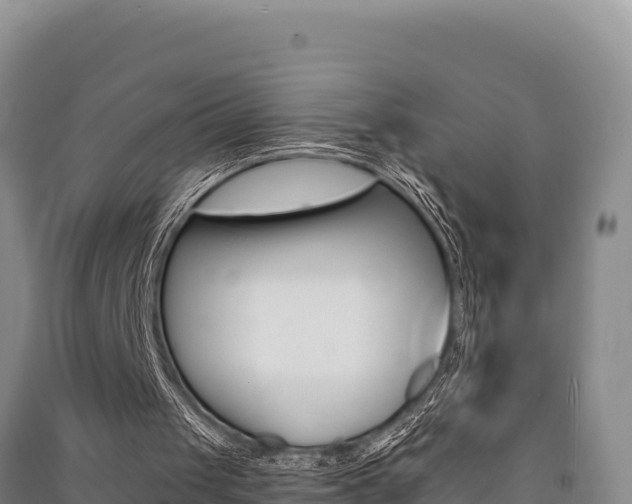 X0000091560049200708171109