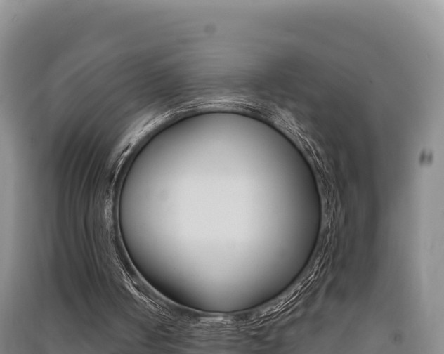 X0000091560050200708171109