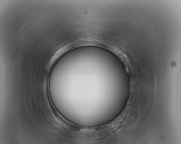 X0000091560051200708171109