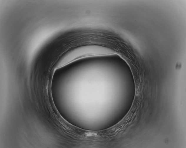 X0000091560052200708171109