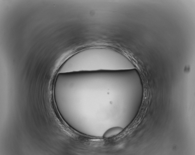 X0000091560053200708171109