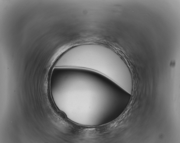 X0000091560054200708171109