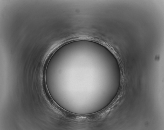 X0000091560055200708171109