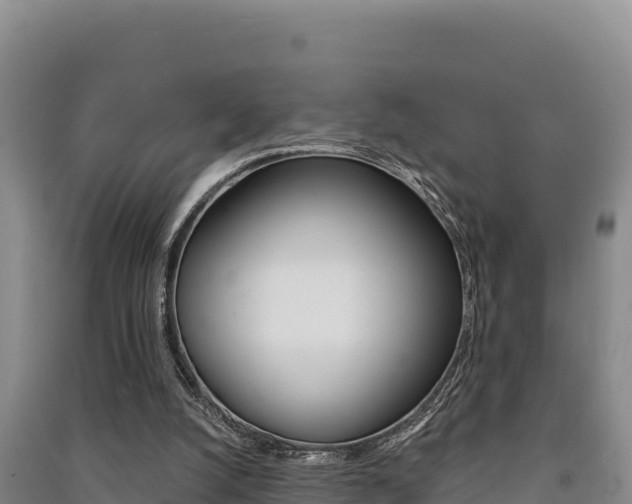 X0000091560056200708171109