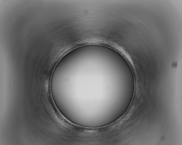 X0000091560057200708171109