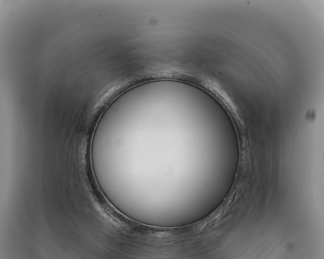 X0000091560058200708171109