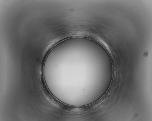 X0000091560059200708171109