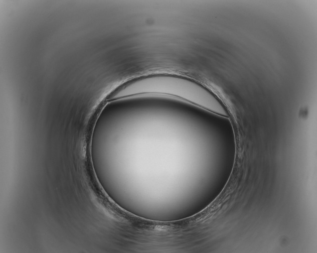 X0000091560060200708171109