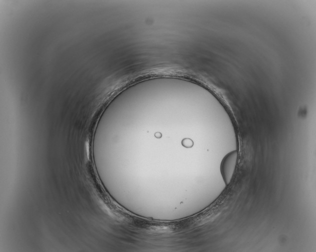 X0000091560061200708171110