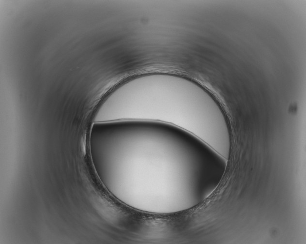 X0000091560062200708171110