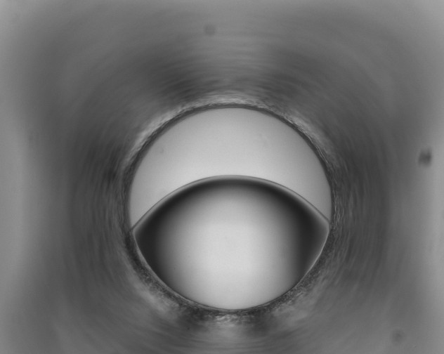 X0000091560064200708171110